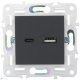 фото Розетка USB  IEK SK-U22-D31-K53