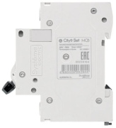 фото Автоматический выключатель Systeme Electric C9F14216