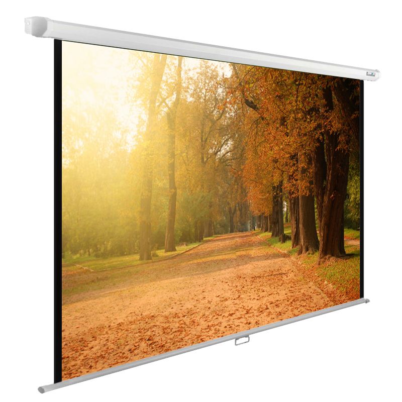 

Экран Cactus CS-PSWE-200X125-WT 16:10 настенно-потолочный рулонный, CS-PSWE-200X125-WT