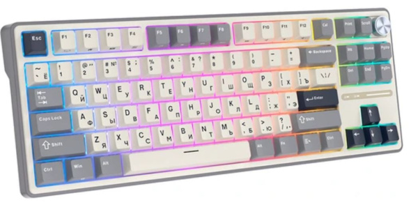 фото Клавиатура проводная Royal Kludge RK R87 Pro