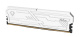 фото Оперативная память DDR4 64 ГБ (2×32 ГБ) Netac NTSHD4P32DP-64W, 3200 МГц, [NTSHD4P32DP-64W] в Красноярске