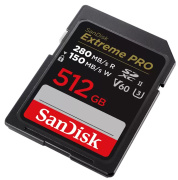 фото Карта памяти SanDisk SDSDXEP-512G-GN4IN