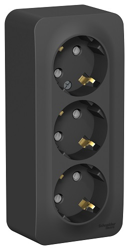 фото Розетка  Systeme Electric BLNRA011316 в Екатеринбурге