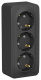 фото Розетка  Systeme Electric BLNRA011316 в Екатеринбурге