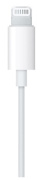 фото Наушники Apple EarPods (Lightning)