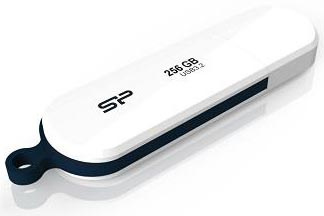 фото Накопитель USB 3.1 256GB Silicon Power SP256GBUF3B32V1W в Нижнем Новгороде