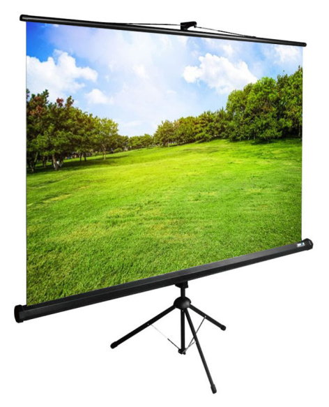 фото Экран  Cactus CS-PSTE-200X150-BK в Волгограде