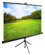 фото Экран  Cactus CS-PSTE-200X150-BK в Волгограде