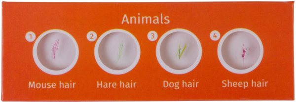 фото Набор  Levenhuk LabZZ CP24 в Санкт-Петербургe