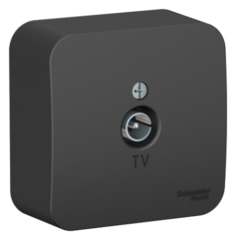 фото Розетка  Systeme Electric BLNTA000016 в Омске