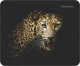 фото Коврик для мыши Defender Wild Animals в Уфе