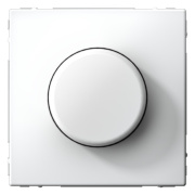 фото Светорегулятор Systeme Electric GAL000123