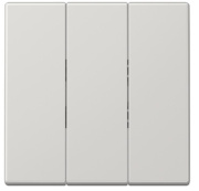 фото Клавиша Jung LS993BFLG