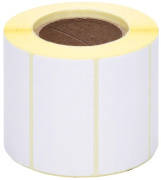 фото Термоэтикетка Cactus CS-TE5840700