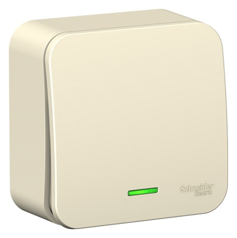 фото Выключатель  Systeme Electric BLNVA061112 в Самаре