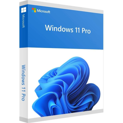 фото ПО  Microsoft Windows 11 Professional 32-bit/64-bit Russian USB в Уфе