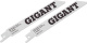 фото Пилка Gigant G-1108206
