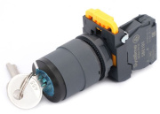 фото Переключатель Systeme Electric SB5AG21
