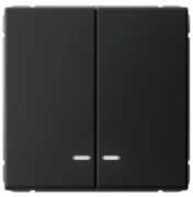 фото Выключатель двухклавишный  Systeme Electric GAL001051