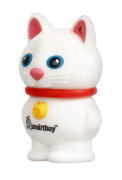фото Накопитель USB 2.0 SmartBuy SB32GBCatW