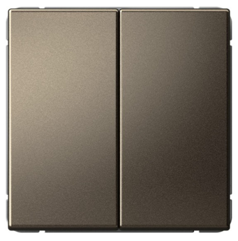 фото Выключатель двухклавишный  Systeme Electric GAL000651S в Омске