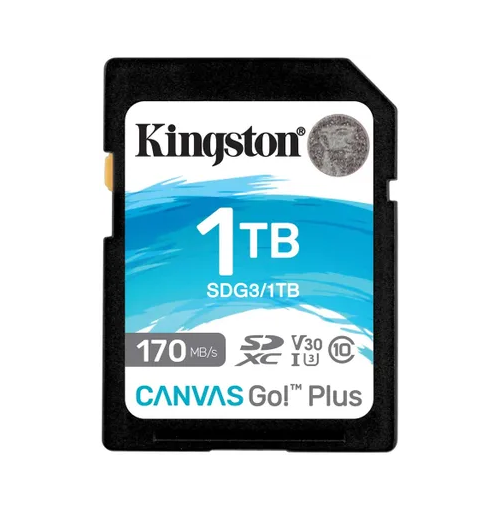 

Карта памяти SDXC 1TB Kingston SDG3/1TB Canvas Go Plus 170R C10 UHS-I U3 V30, SDG3/1TB