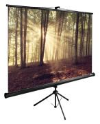 фото Экран Cactus CS-PSTE-180X135-BK