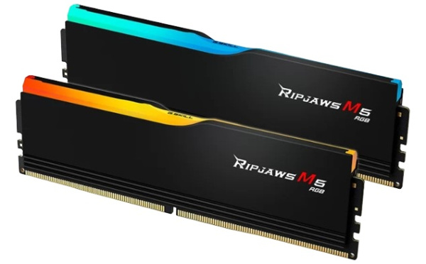 фото Модуль памяти DDR5 96GB (2*48GB) G.Skill F5-6400J3239F48GX2-RM5RK в Самаре