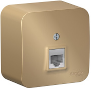 фото Розетка Systeme Electric BLNIA045004