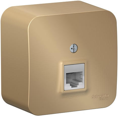 фото Розетка  Systeme Electric BLNIA045004 в Самаре