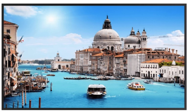 фото Монитор 55" Dahua DHI-LM55-S200 в Самаре