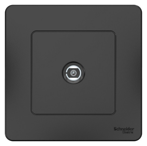 фото Розетка  Systeme Electric BLNTS000016 в Уфе