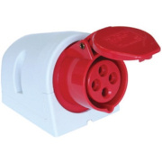 фото Розетка DKC DISW040164