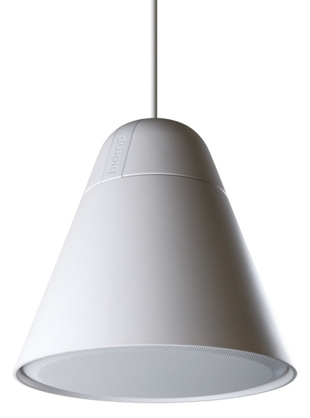 фото Акустическая система  BIAMP P60DT-W в Казани