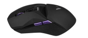фото Мышь Rapoo VT950Pro