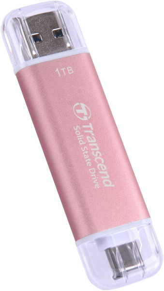 фото Внешний SSD USB-C/USB-A Transcend TS1TESD310P в Самаре 1024 ГБ