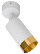 фото Светильник WOLTA WSL-GU10/S10WG