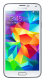 фото Мобильный телефон  Samsung SM-G900FD Galaxy S5 Duos 16Gb White