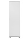 фото Шкаф  SNR SNR-TFC-426010-GS-G-SF в Нижнем Новгороде