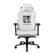 фото Кресло DxRacer CRA/DL5000/THINKER