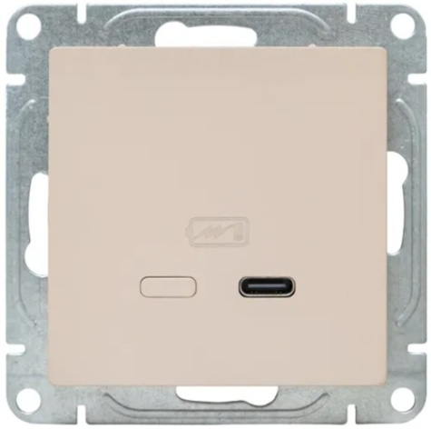 фото Розетка USB  EKF UP1-SOI-2USBC в Перми