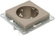 фото Розетка с заземлением  EKF UP1-SOC-110 в Воронеже
