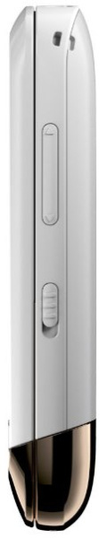 фото   Nokia C2-03 Golden White