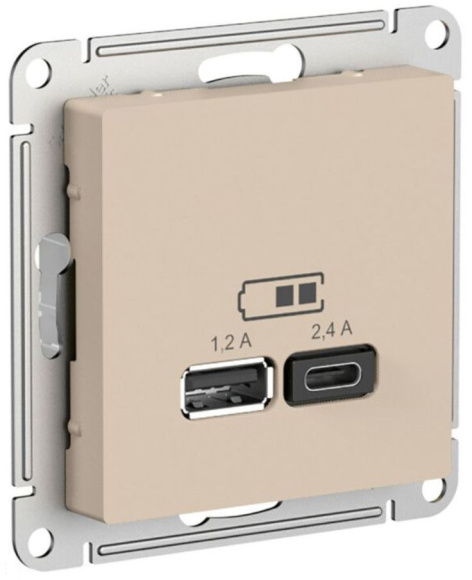фото Розетка USB  Systeme Electric ATN001239 в Уфе
