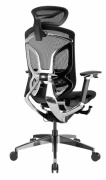 фото Кресло GT Chair Dvary Pro X