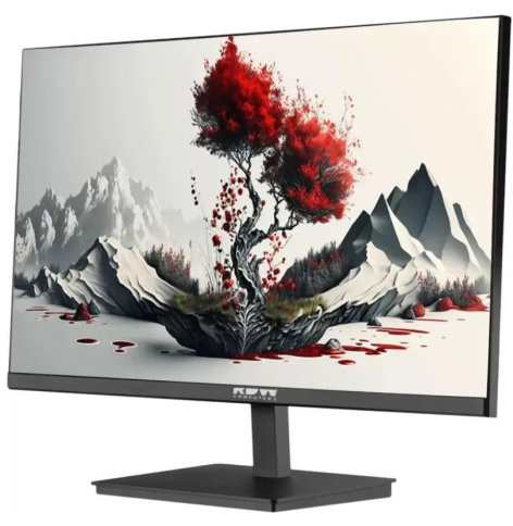 фото Монитор  RDW Computers RDW2401K в Перми