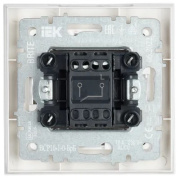 фото Выключатель IEK BR-V10-0-10-K01-F