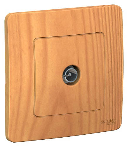 фото Розетка  Systeme Electric BLNTS000015 в Волгограде