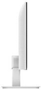 фото Монитор Philips 24E1N1100AW