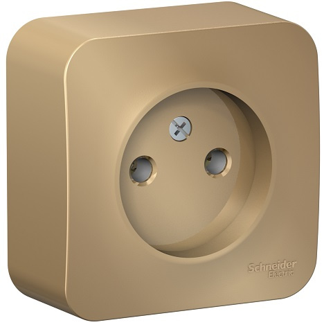 фото Розетка  Systeme Electric BLNRA000104 в Красноярске